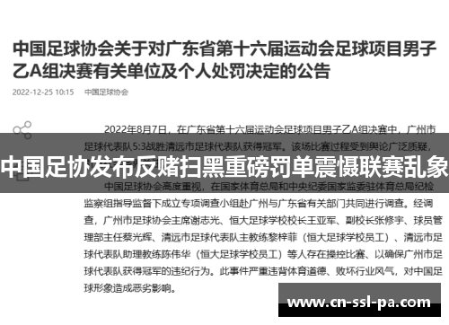 中国足协发布反赌扫黑重磅罚单震慑联赛乱象 中国足协发布反赌扫黑重磅罚单震慑联赛乱象