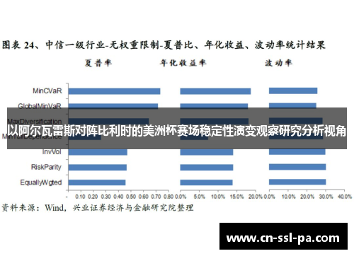 以阿尔瓦雷斯对阵比利时的美洲杯赛场稳定性演变观察研究分析视角