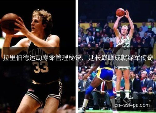 拉里伯德运动寿命管理秘诀,延长巅峰成就绿军传奇 拉里伯德运动寿命管理秘诀,延长巅峰成就绿军传奇